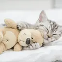 Meow-Line 貓玩具 & 娛樂