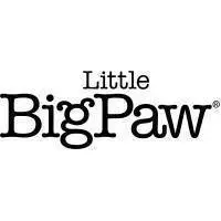 Little Big Paw 