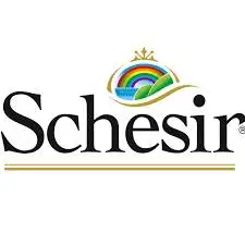 Schesir
