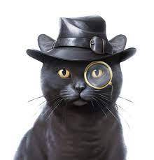 喵探長 | MEOW-LINE HK