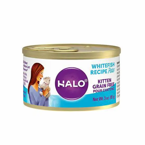 Halo嘿囉 幼貓無榖物罐-白魚 (3oz)