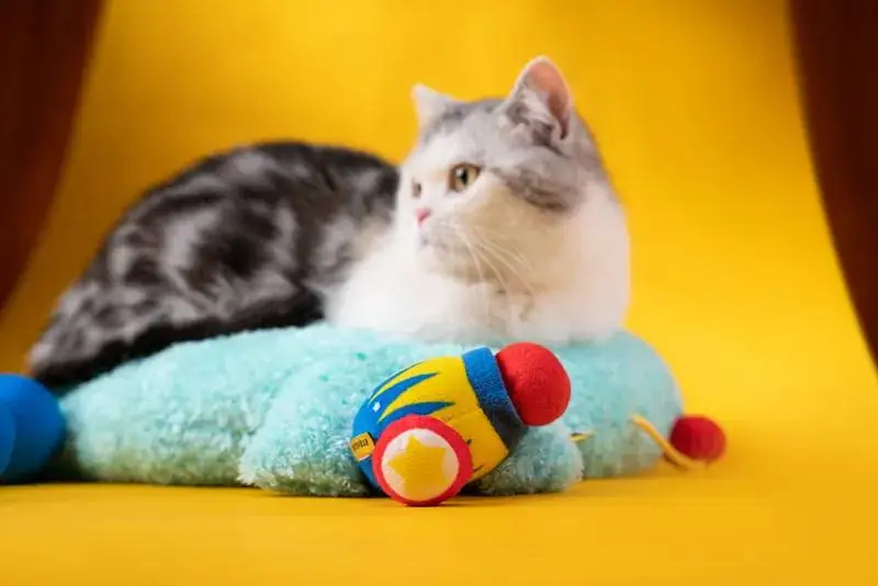 Petsville 砲彈筒貓玩具 (含貓薄荷) 拉出繩子，玩具即可自行移動