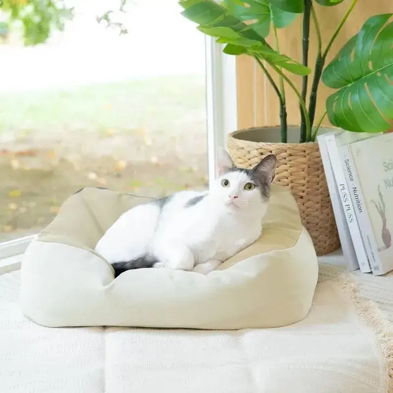 好味小姐 好味貓懶骨頭｜好評升級版 (大碼) 焙茶棕