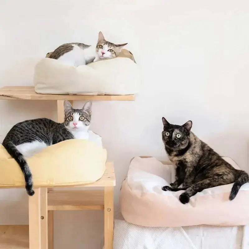 好味小姐 自選2張- 好味貓懶骨頭 (大碼)