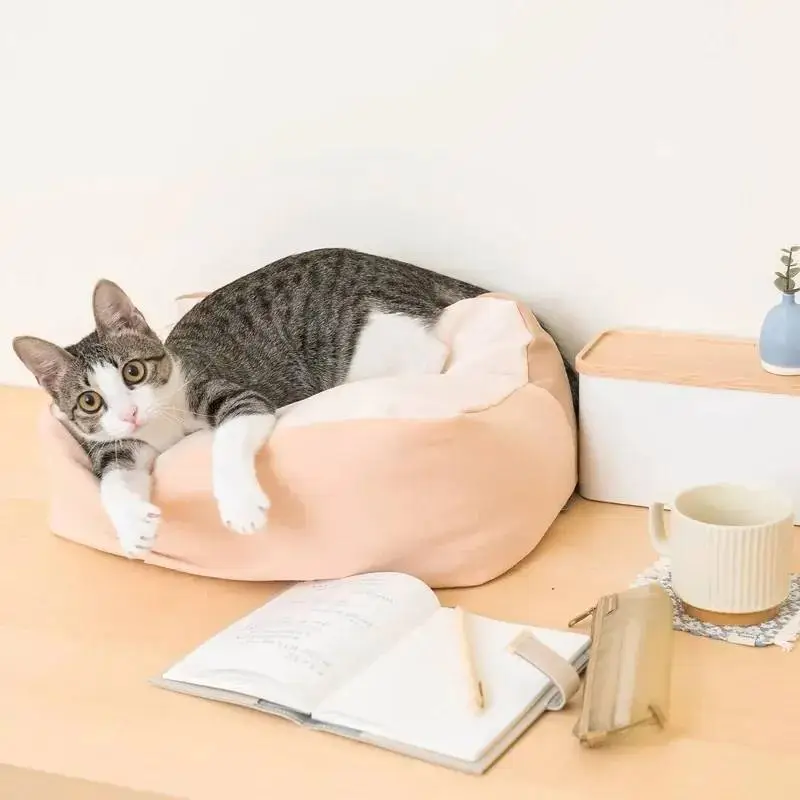 好味小姐 好味貓懶骨頭｜好評升級版 (大碼)  輕柚橘