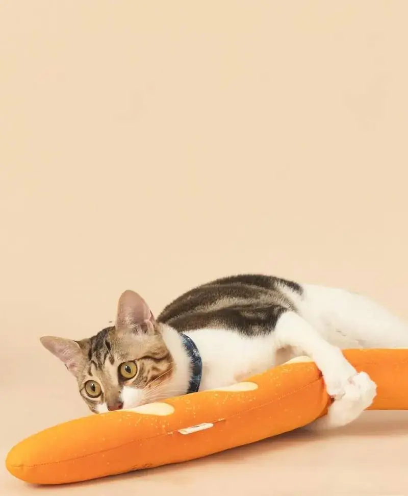 陳氏屁孩 貓草法包 Large size • 56cm